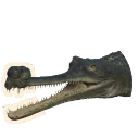 Gharial