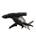 Great Hammerhead