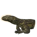 Nile Monitor