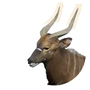Nyala