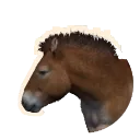 Przewalski's Horse