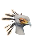 Secretarybird