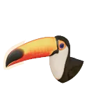 Toco Toucan