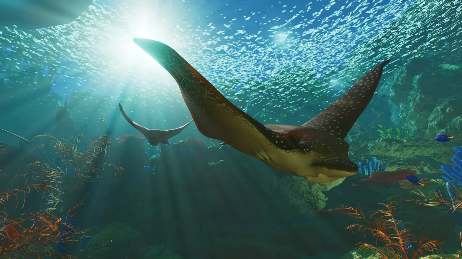 Planet Zoo 2 aquarium habitat with a manta ray and a school of reef fish