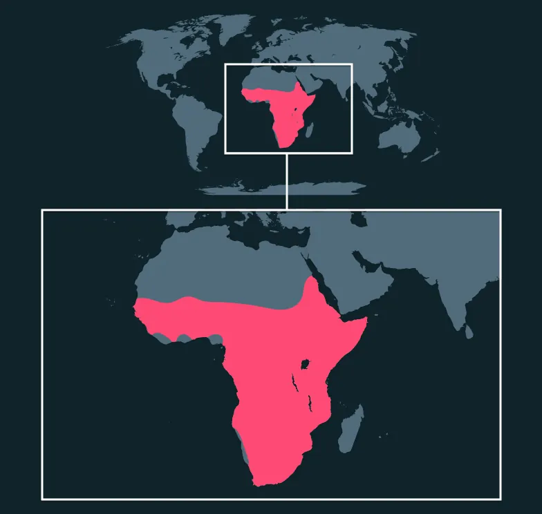 Aardvark distribution map