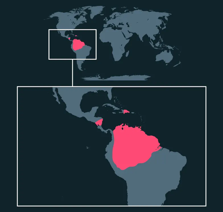 Amazonian Giant Centipede distribution map