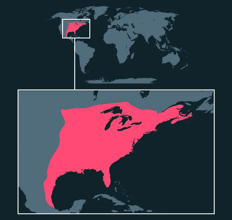 American Bullfrog distribution map