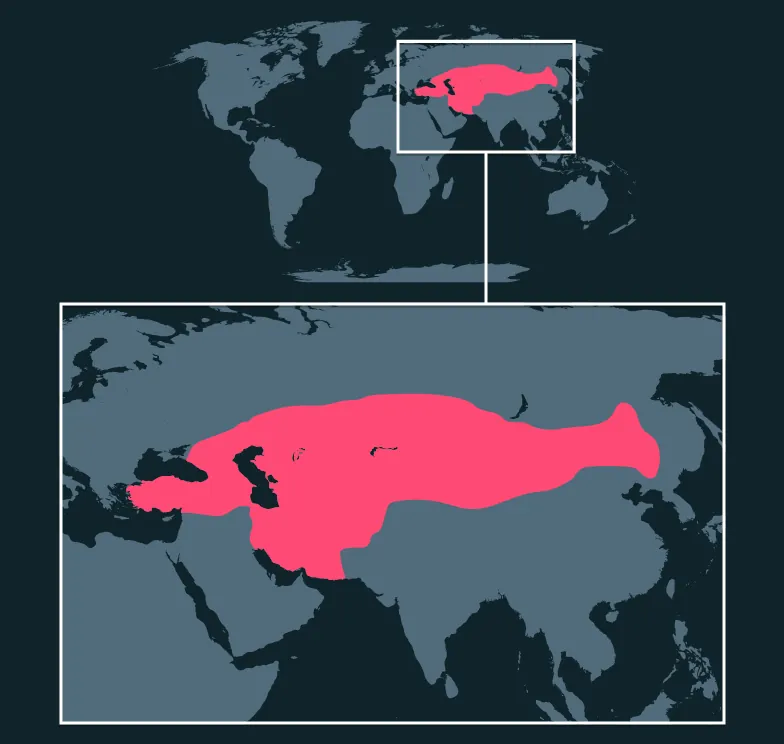 Bactrian Camel distribution map