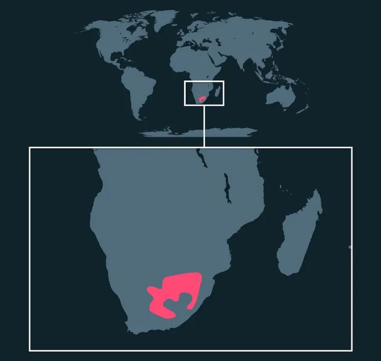 Black Wildebeest distribution map