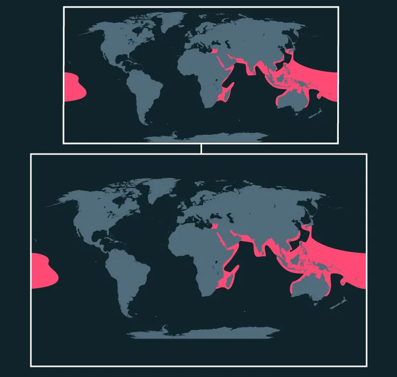 Blacktip Reef Shark distribution map