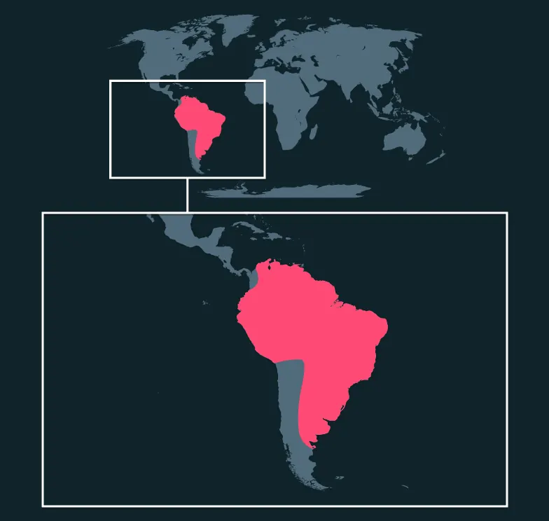 Boa Constrictor distribution map