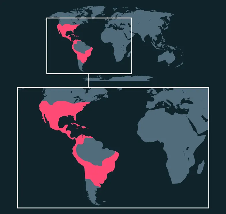 Cloudless Sulphur distribution map