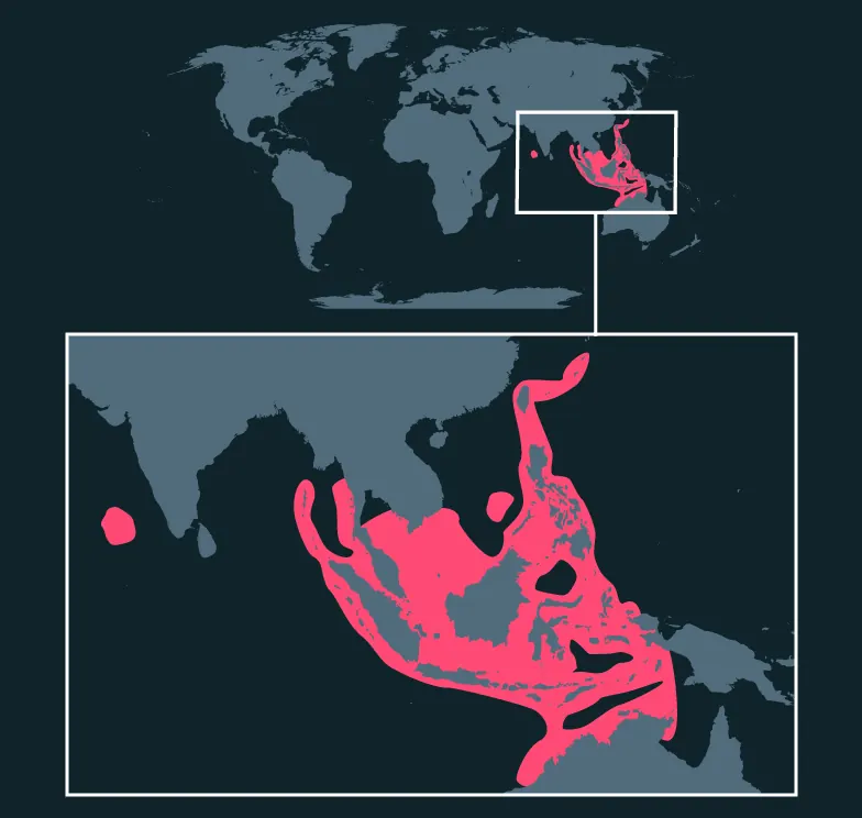 Clown Anemonefish distribution map