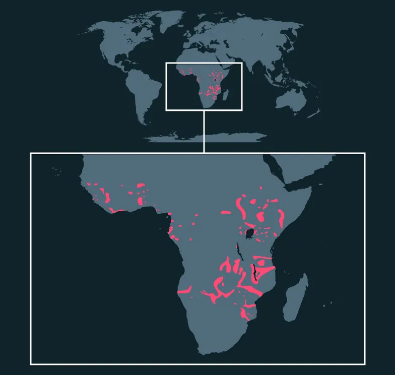 Common Hippopotamus distribution map