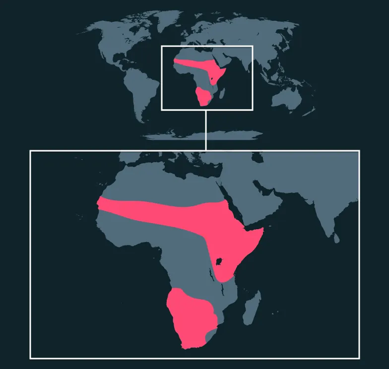 Common Ostrich distribution map
