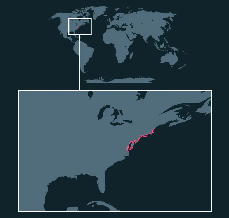 Diamondback Terrapin distribution map
