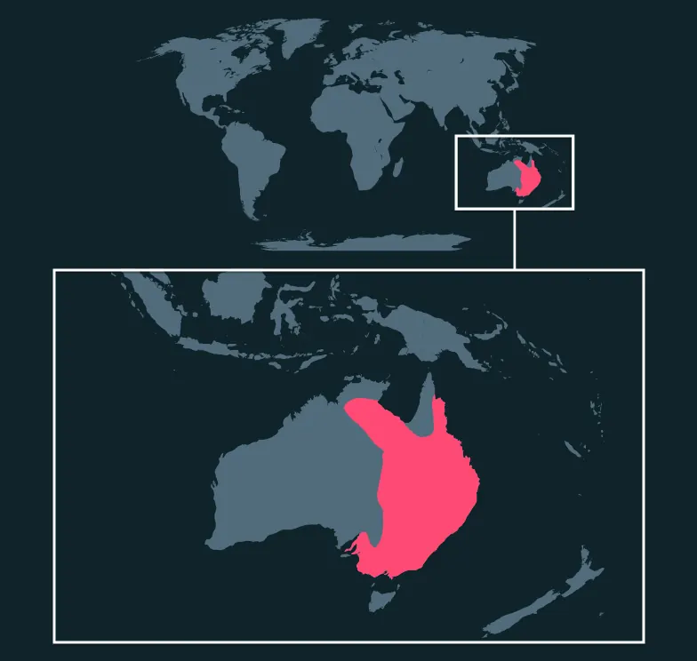 Eastern Brown Snake distribution map