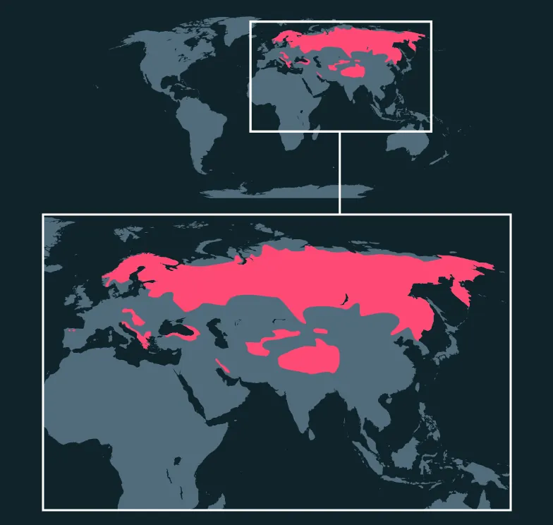Eurasian Brown Bear distribution map