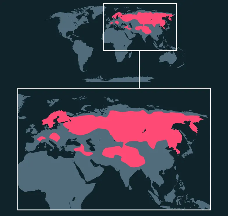Eurasian Lynx distribution map