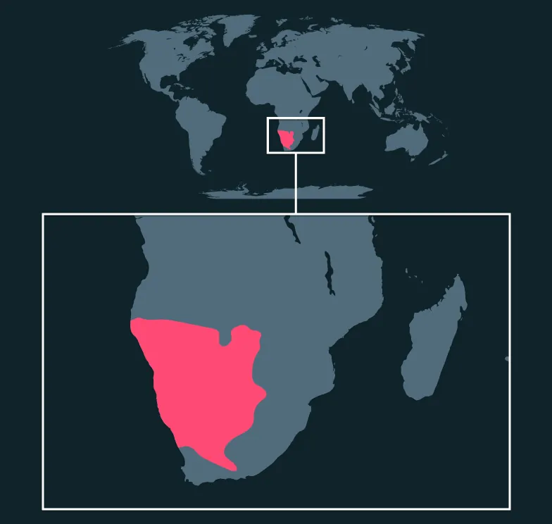 Gemsbok distribution map