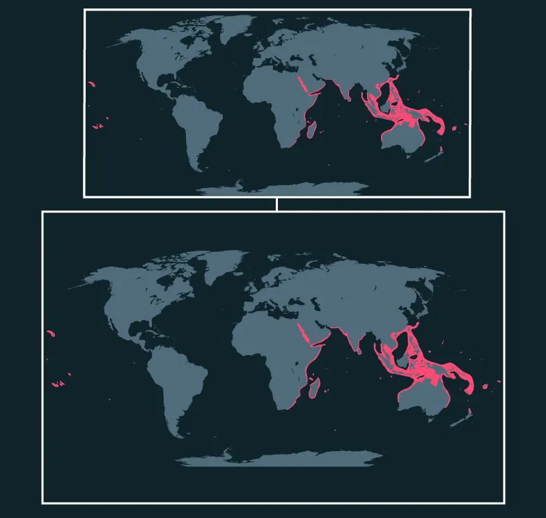 Giant Grouper distribution map
