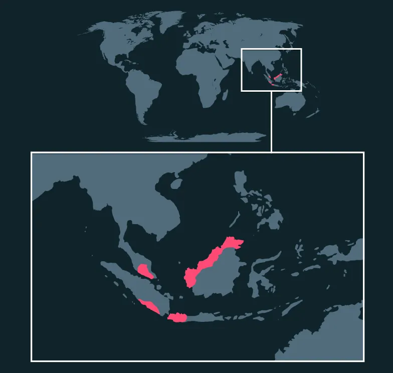 Giant Malaysian Leaf Insect distribution map