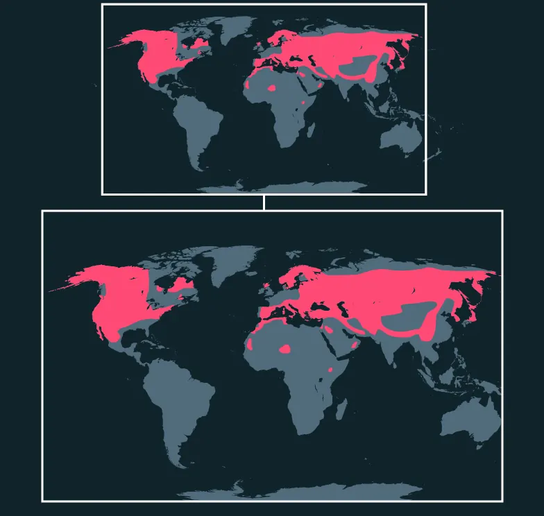 Golden Eagle distribution map