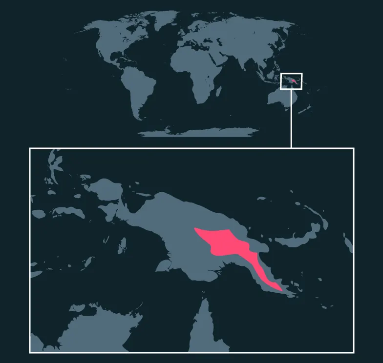 Goodfellow's Tree-Kangaroo distribution map