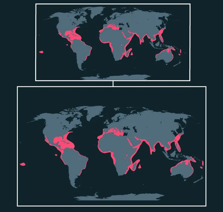 Great Hammerhead distribution map