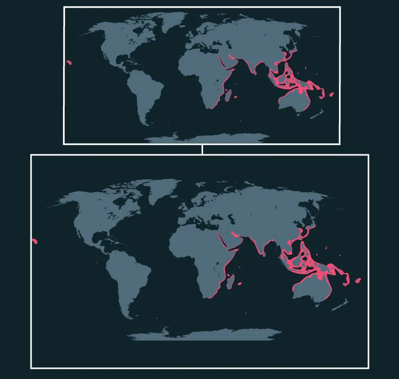 Indo-Pacific Leopard Shark distribution map