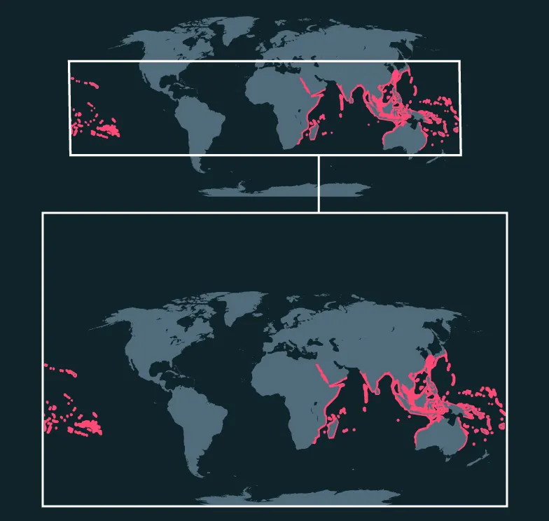 Indo-Pacific Sergeant distribution map