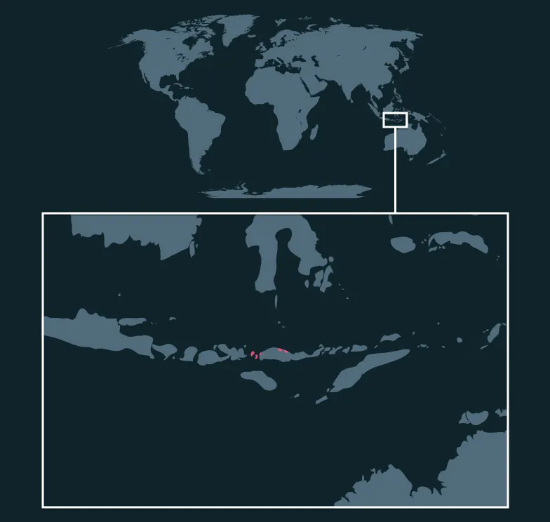 Komodo Dragon distribution map