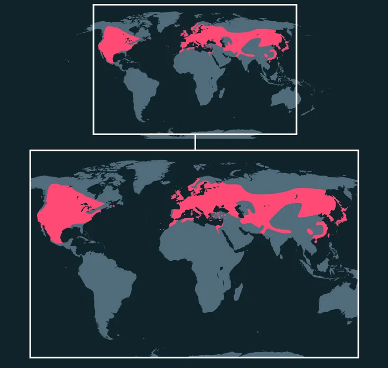 Long-Eared Owl distribution map