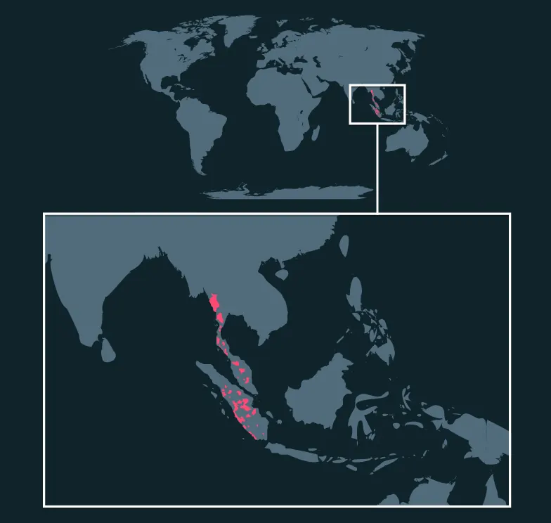 Malayan Tapir distribution map