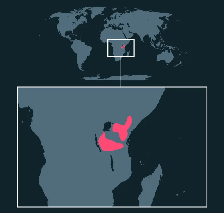 Masai Giraffe distribution map
