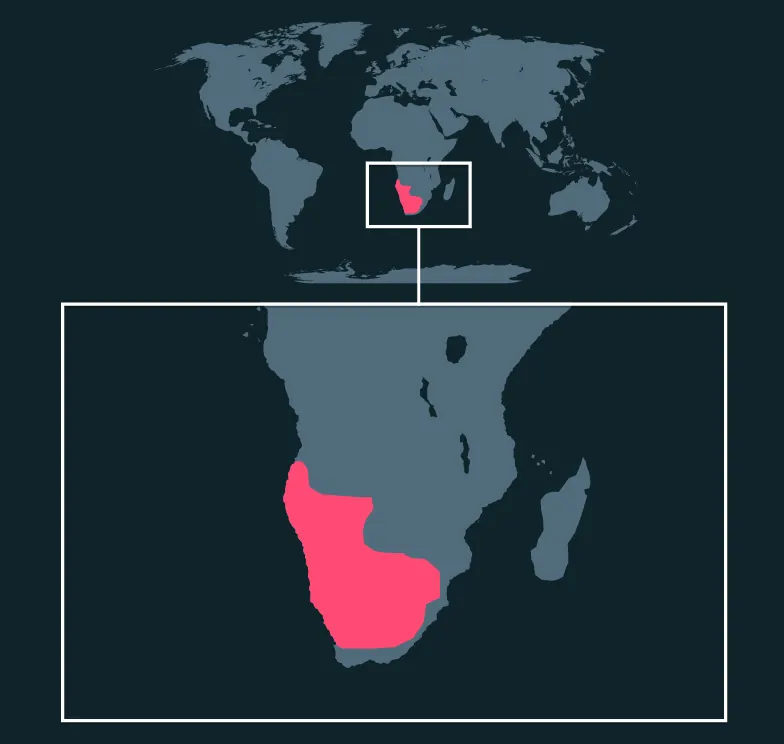 Meerkat distribution map