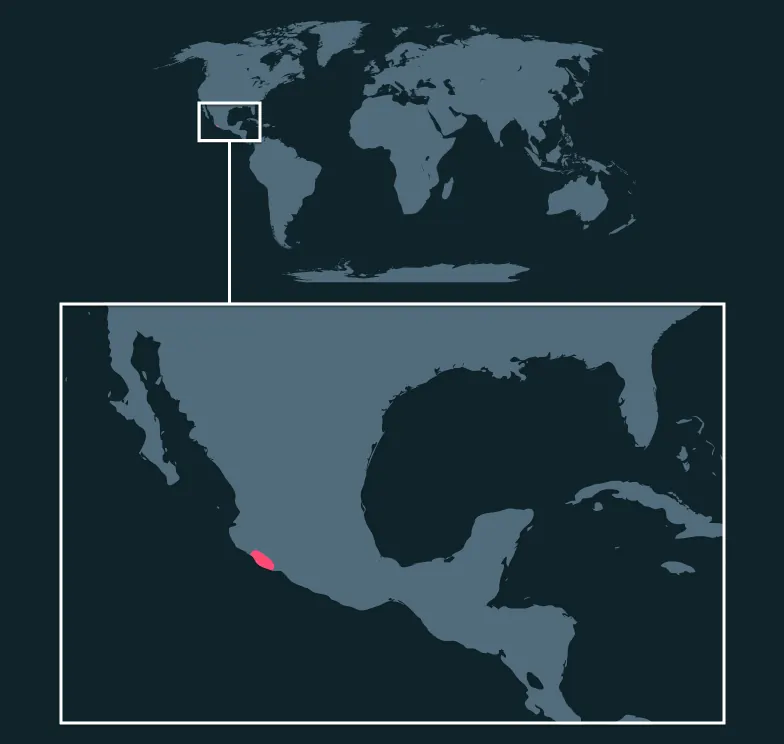 Mexican Redknee distribution map
