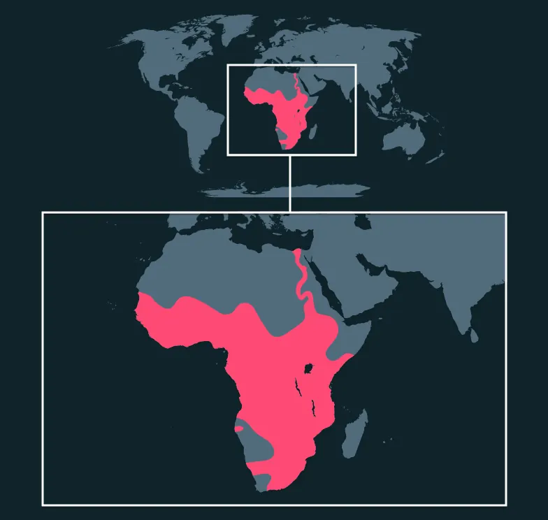 Nile Monitor distribution map