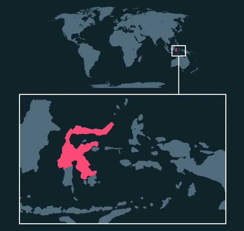 North Sulawesi Babirusa distribution map