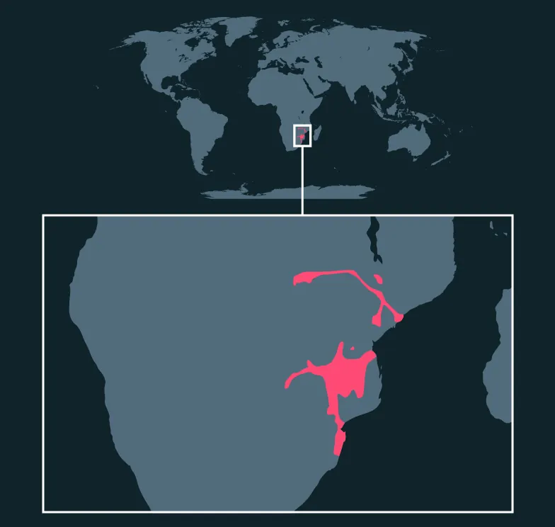 Nyala distribution map