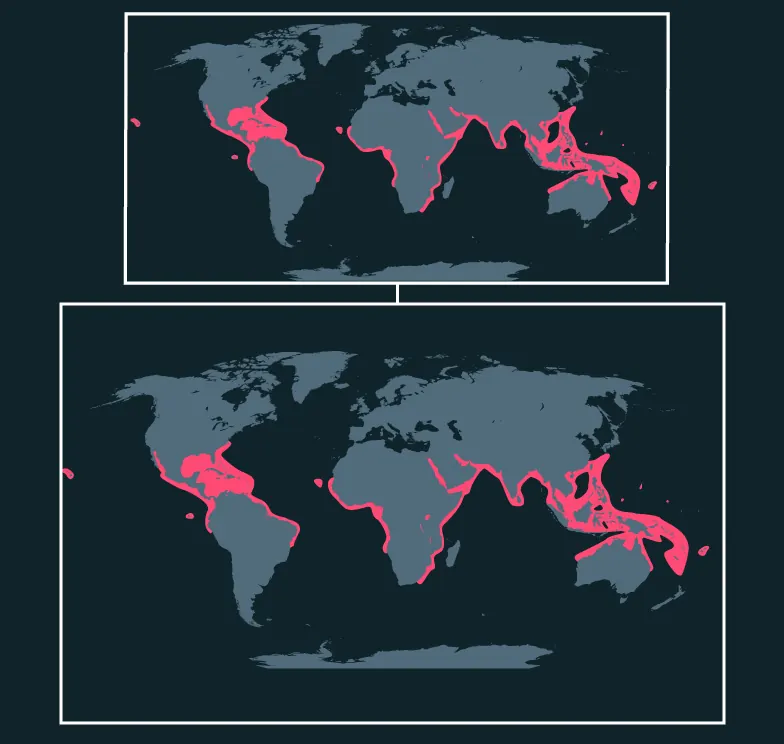 Ocellated Eagle Ray distribution map