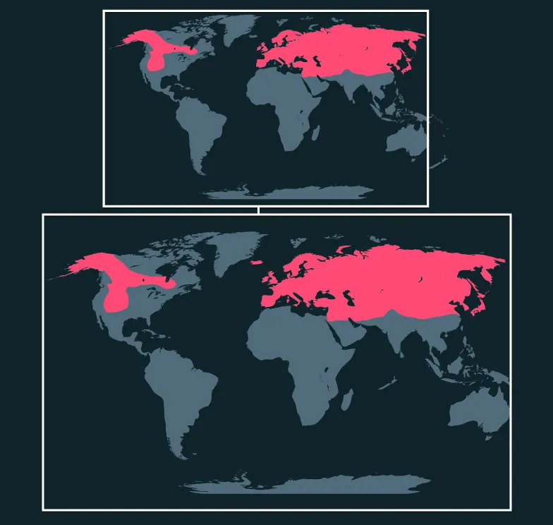 Old World Swallowtail distribution map