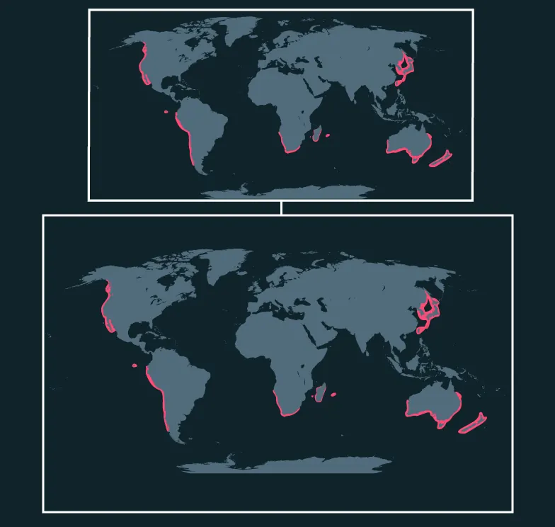 Pacific Sardine distribution map