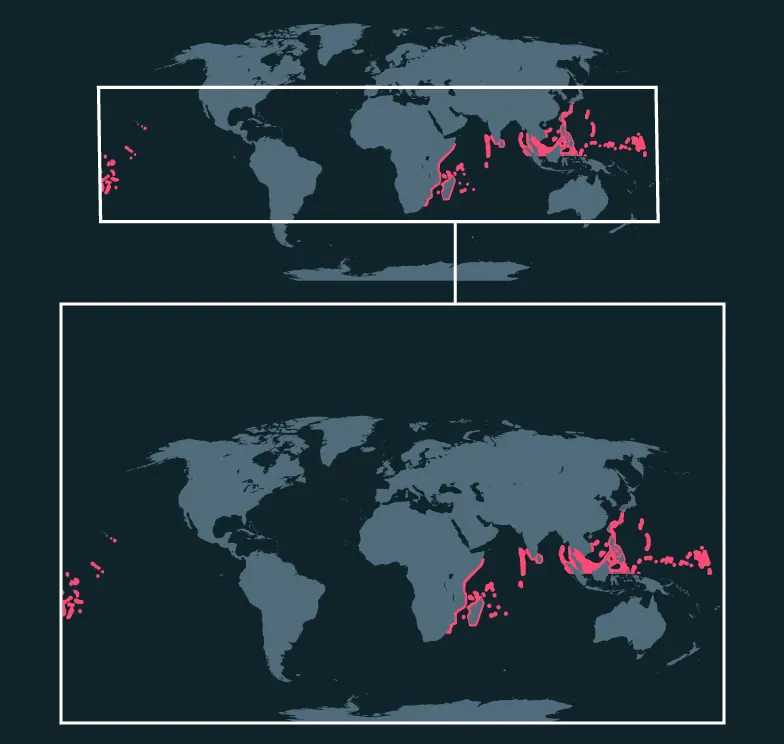 Palette Surgeonfish distribution map