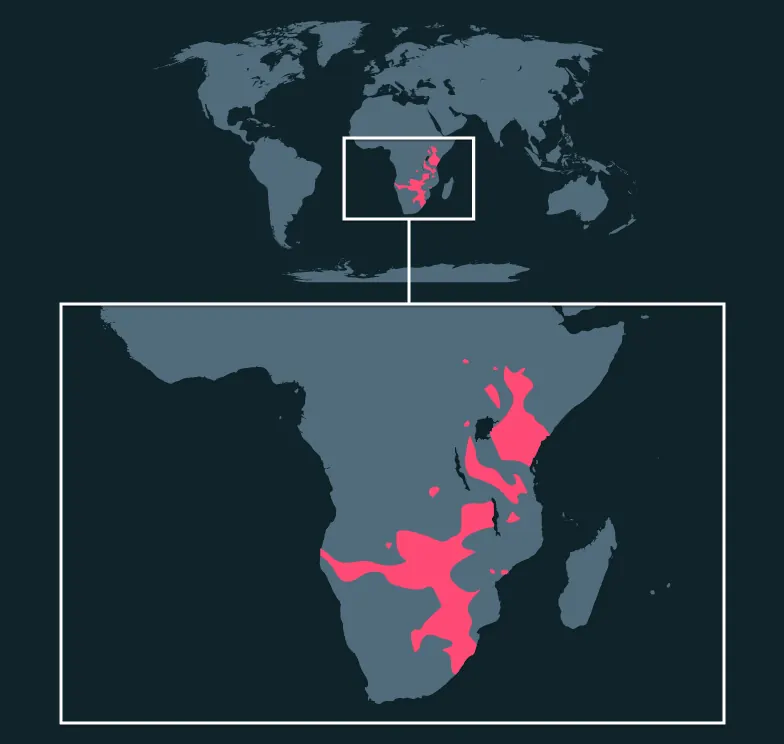 Plains Zebra distribution map