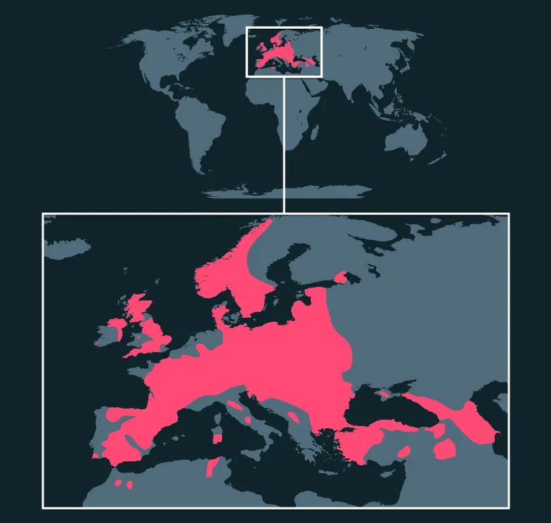 Red Deer distribution map