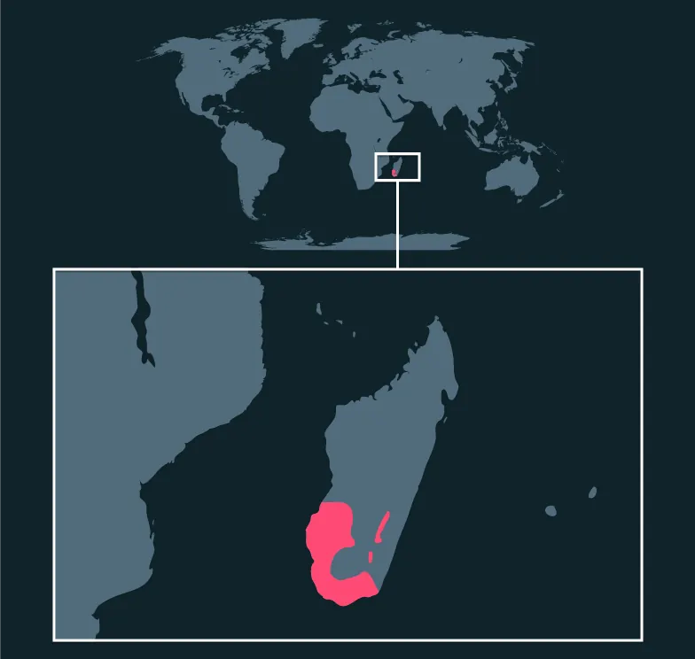 Ring-Tailed Lemur distribution map