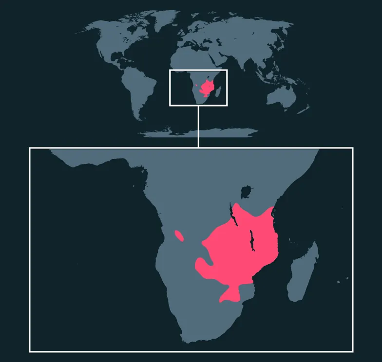 Sable Antelope distribution map