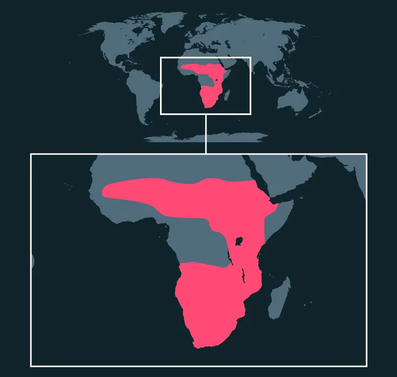 Secretarybird distribution map