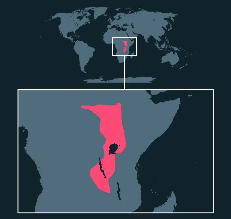 Shoebill distribution map